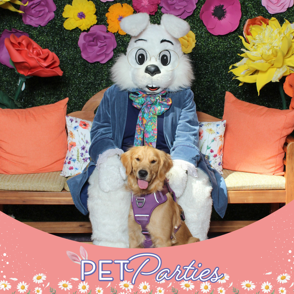 Easter Pet Parties